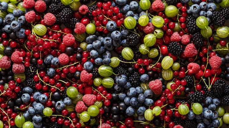 Trotz hohem Zuckergehalt – Beeren sind ein gesunder Snack und erst noch kalorienarm. (Bild: Getty)