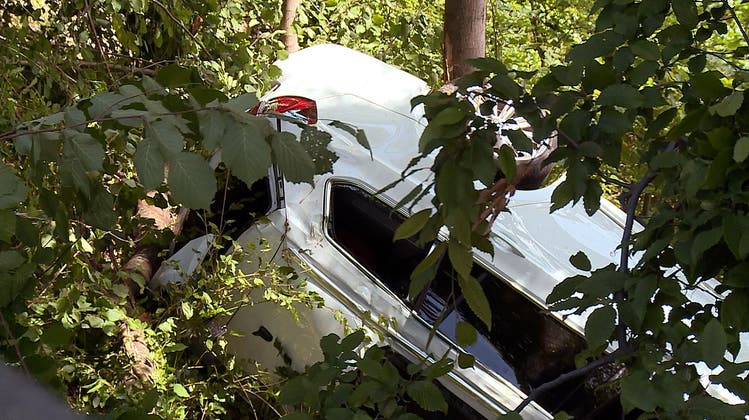 Auto stürzt in Tobel: 62-Jähriger Lenker tot
