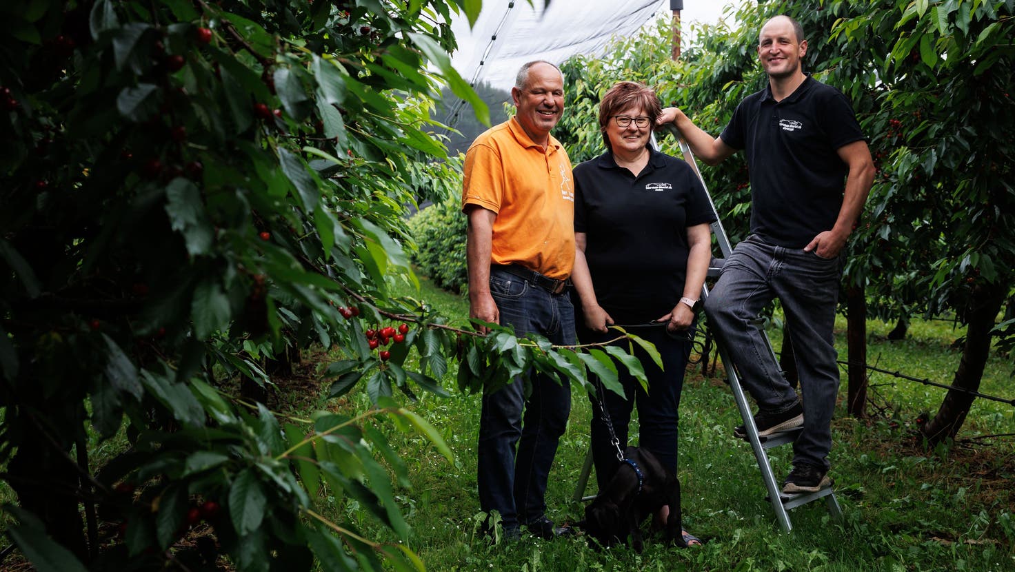 Begerts sind die grössten Obstproduzenten im Kanton Solothurn (von links): Markus Heri, Janine Heri mit Hund Milo, Christoph Begert (Hanspeter Bärtschi)
