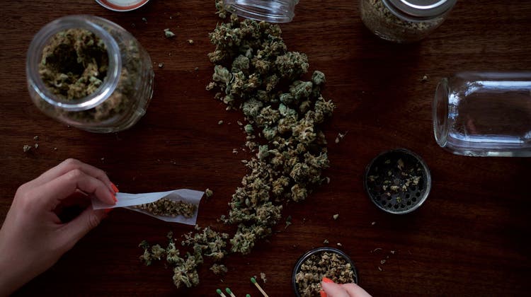 Am Weltkiffertag 2020 überfiel eine Gruppe einen Marihuana-Dealer. (unsplash.com)