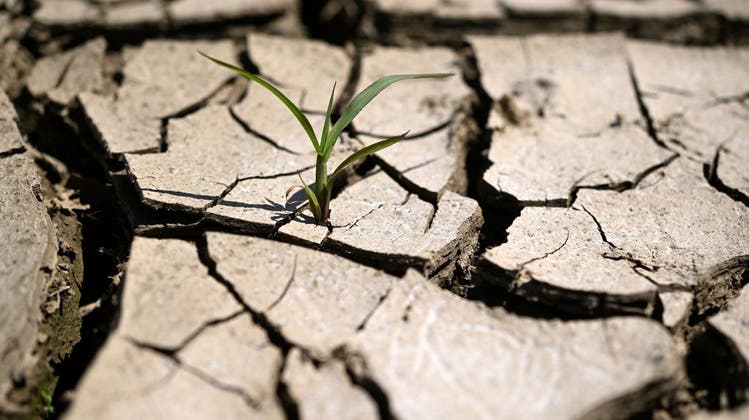 Wegen der Dürre greifen italienische Städte zu strengen Massnahmen gegen Wasserverschwendung. (Keystone)