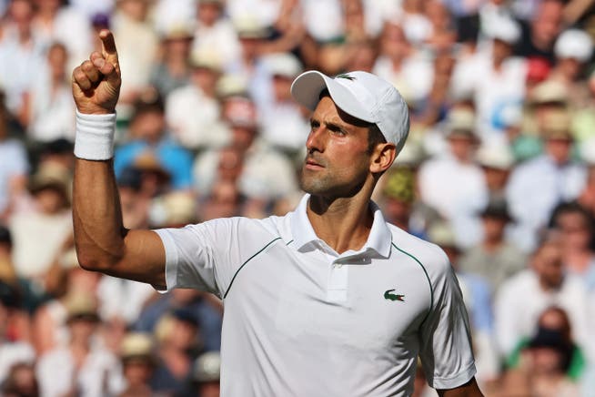 Novak Djokovic steht in Wimbledon im Final.