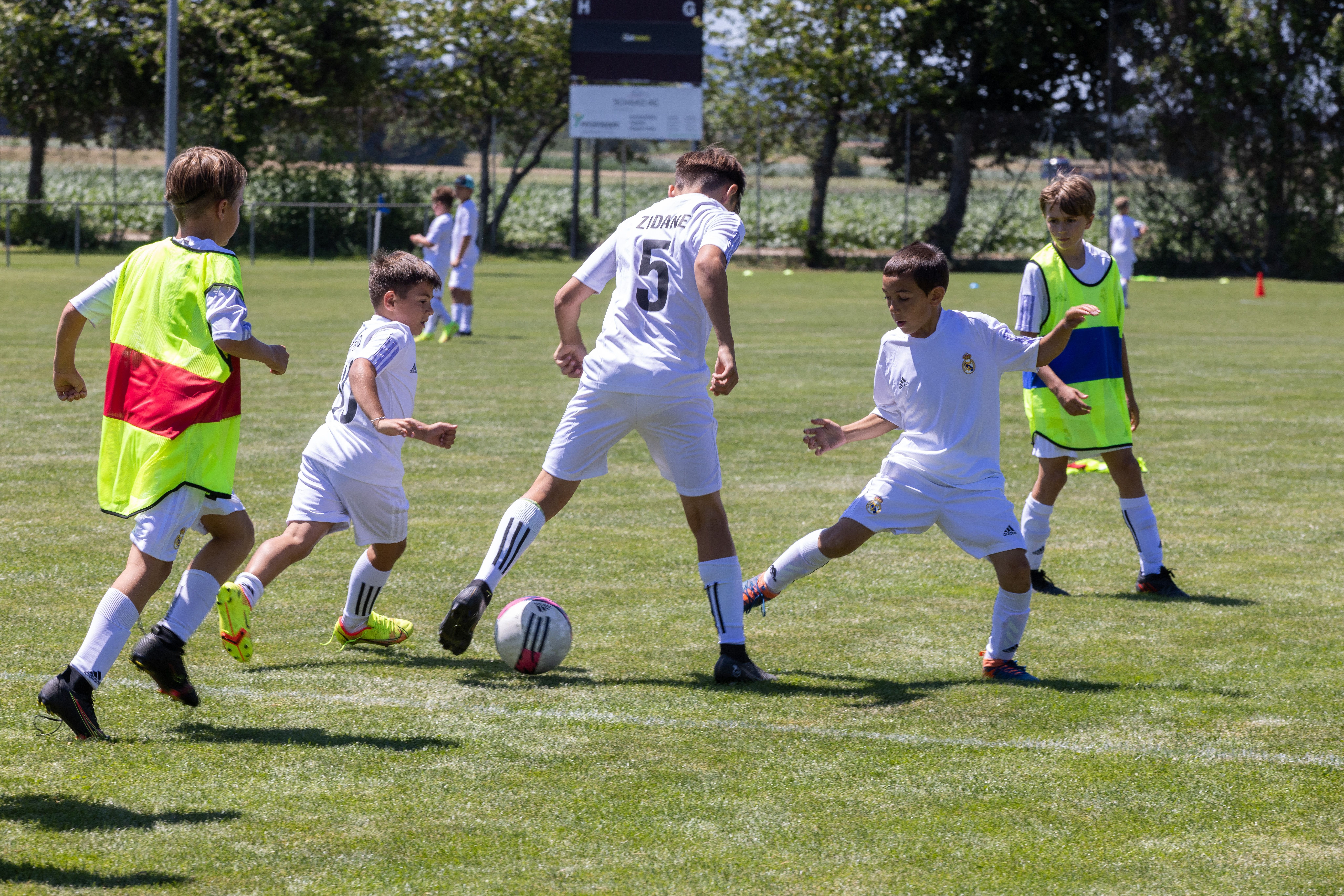 Die Kids des FC Bellach haben diese Woche die Gelegenheit, mit der Real-Madrid-Clinics zu trainieren. 