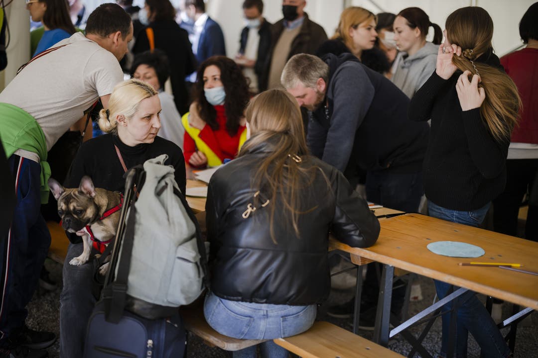 Flüchtlinge aus der Ukraine füllen Registrierungsformulare aus, in einem Zelt vor dem Bundesasylzentrum Zürich aus.