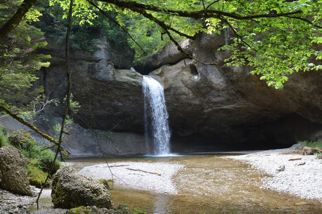 Eine Ansicht von seltener Schönheit: Der Gonzenbach im Hammertobel überwindet beim Wasserfall rund 20 Höhenmeter. 