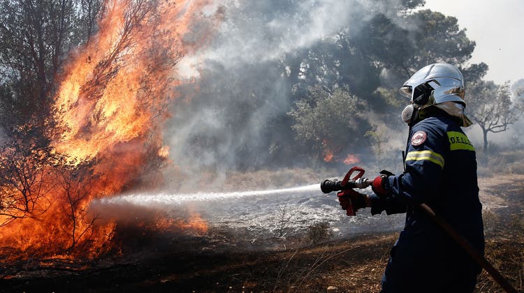 In den Vororten von Athen bekämpfen Hunderte Feuerwehrleute die Brände. (Kostas Tsironis / EPA)