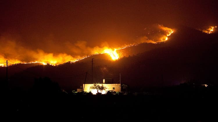 Waldbrand auf Teneriffa: Mehrere Quadratkilometer Land sind den Flammen auf der Insel bereits zum Opfer gefallen. (Andres Gutierrez / AP/ap)