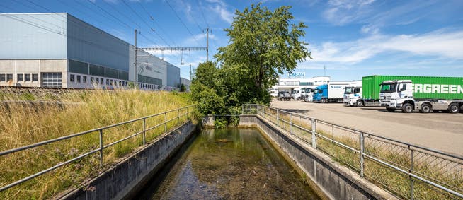 Auch der Krebsbach, der von Wil nach Rickenbach fließt, ist Teil des Hochwasserschutzprojekts.
