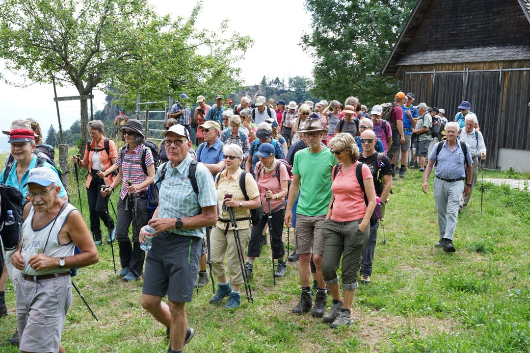 Fast 100 Wandererinnen und Wanderer trotzten der Hitze.