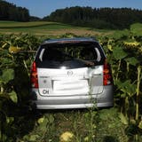 Nach der Kollision mit dem Holzweidezaun kam das Auto in diesem Sonnenblumenfeld zum Stillstand. (Bild: Luzerner Polizei)