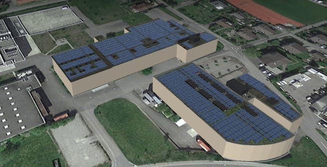 Die Visualisierung zeigt die geplante Anlage auf den beiden Dächern der Amsler &amp; Frey AG und Constri AG.