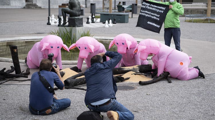 Greenpeace-Aktion gegen Fleischimporte: Die Lust der Schweizerinnen und Schweizer auf Fleisch ist der Organisation ein Dorn im Auge. (Archivbild: Keystone)