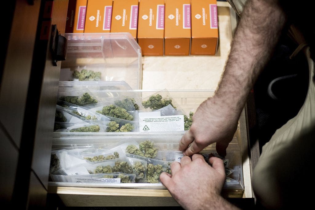 In Basel-Stadt startet am 15. September ein Pilotversuch zur legalen Abgabe von Cannabis.