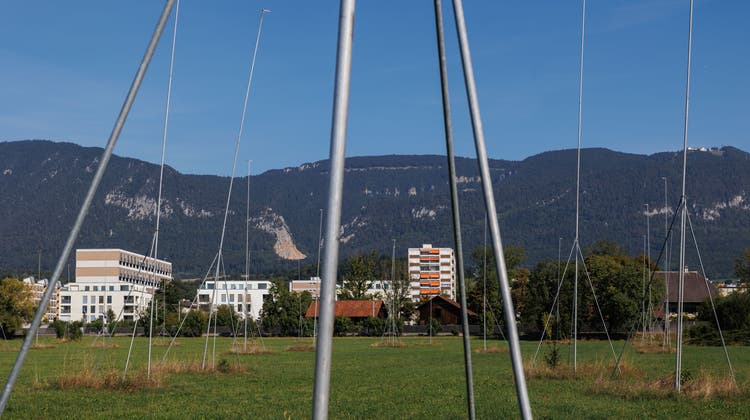 Profile auf dem Feld des geplanten Wohnparks Wildbach. Der Baustart ist aber noch fern. (Hanspeter Bärtschi (25. August 2022))