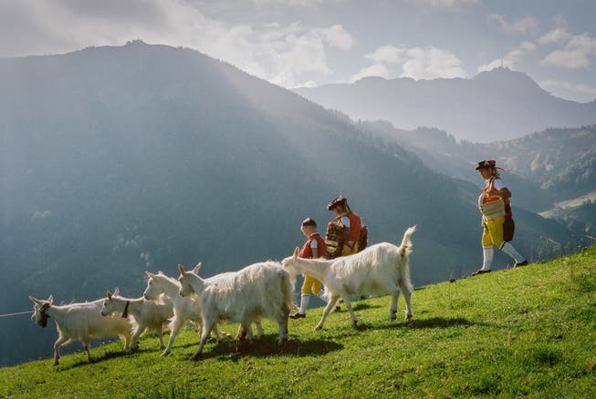«Wir leben nicht im ‹Heidi›-Film»: Eine Alpabfahrt ist malerisch, aber das Älplerleben harte Arbeit.
