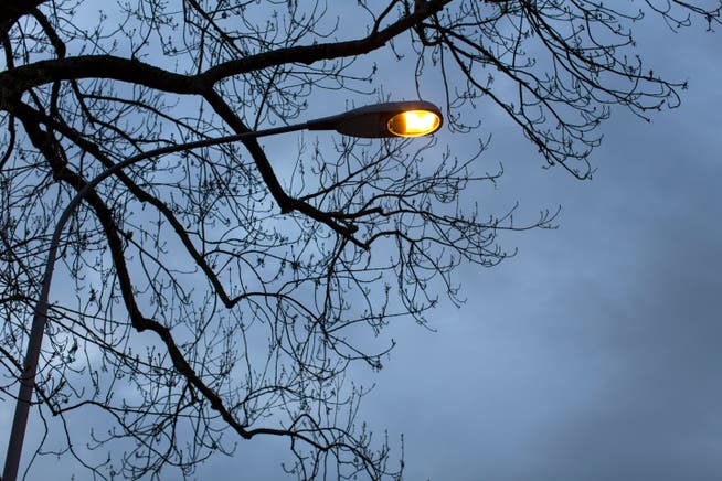 Die Strassenbeleuchtung wird trotz der Energiekrise nicht abgeschaltet – das hat der Zürcher Stadtrat beschlossen.
