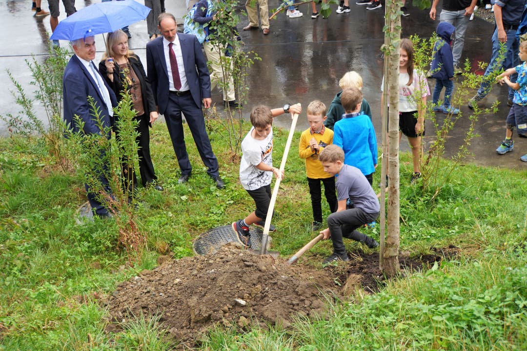 Die Kinder dürfen beim Pflanzen eines Birnbaums neben dem Schulhaus helfen.