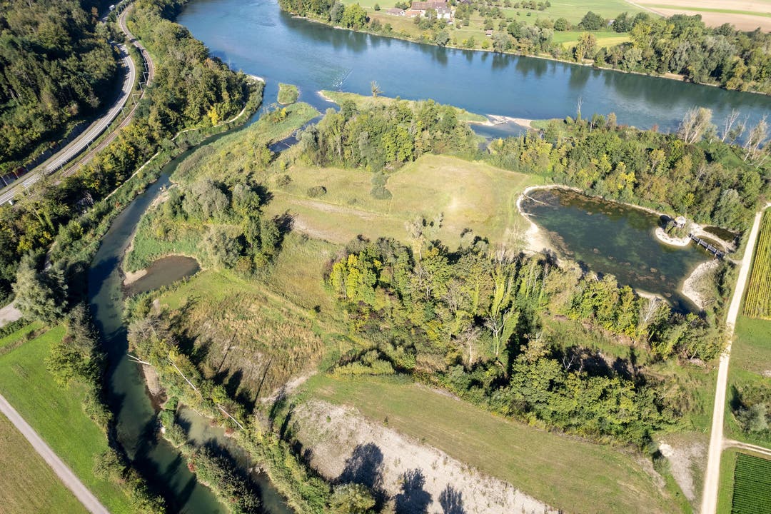 Bis 2015 renaturierte der Kanton zusammen mit Pro Natura das Gebiet Chly Rhy.