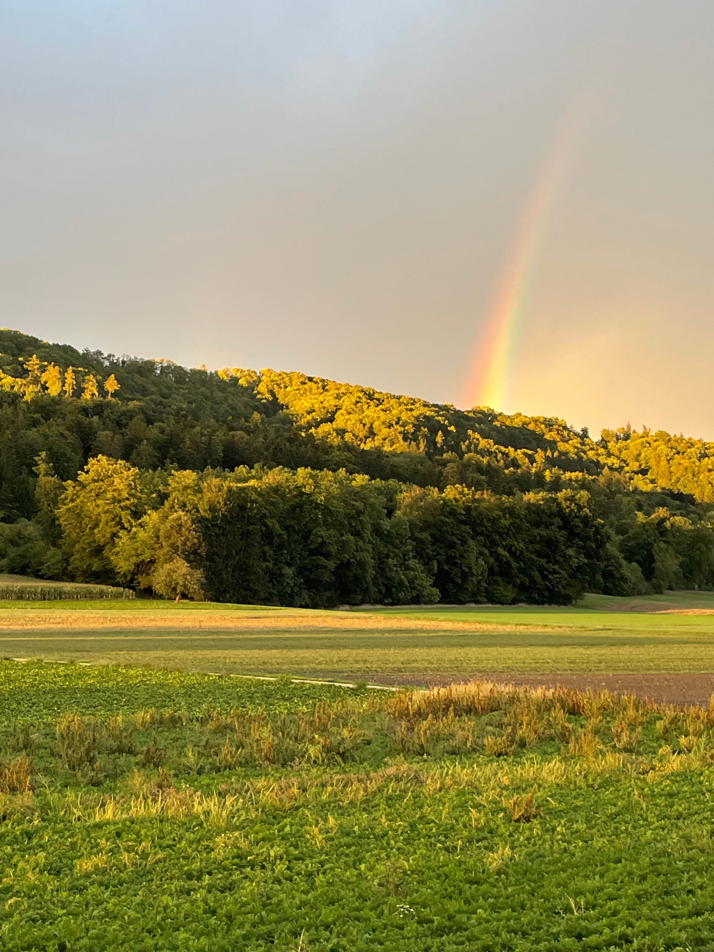 Leserbilder: Die schönsten Fotos aus dem Aargau im Herbst