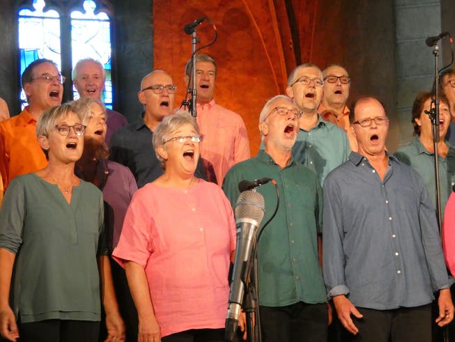 Die Vindonissa Singers üben ihr Hobby mit Leidenschaft aus.
