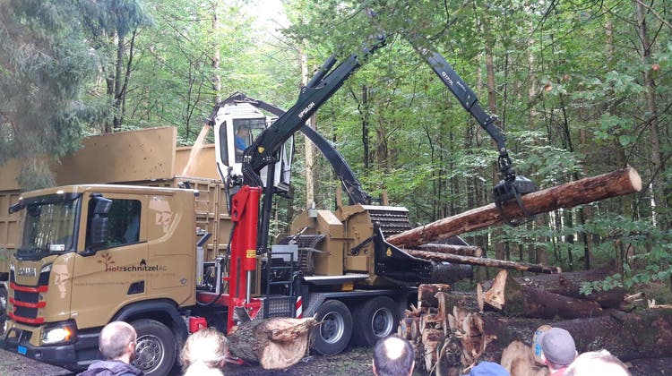 «Energieholz - Holzenergie» Waldgang der Bürgergemeinde Biberist