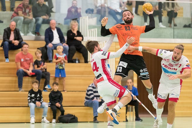 Der TV Möhlin (im Bild: Justin Larouche) holt im Heimspiel gegen die SG Wädenswil/Horgen einen Punkt.