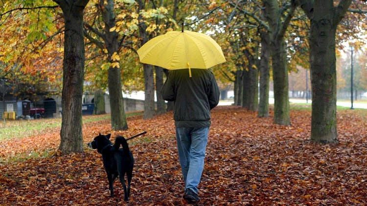 Wo bleibt der Altweibersommer? Am Wochenende ist der Regenschirm im Dauereinsatz. (Symbolbild) (Keystone)