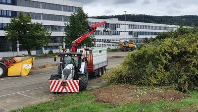 Baumfällaktion für das Reservekraftwerk auf dem Parkplatz von GE in Birr. (Fabian Hägler)