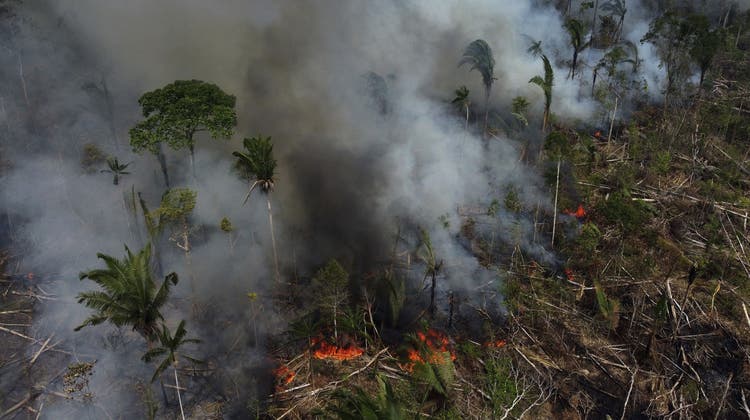 Wenn der Amazonas-Regenwald brennt, gelangen riesige Mengen an CO2 in die Atmosphäre. (Edmar Barros / AP)