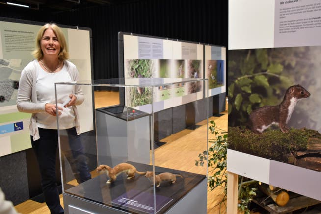 Petra Meyer freute sich, die Wiesel-Ausstellung in Altdorf offiziell zu eröffnen.