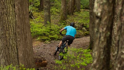 Im Luzerner Bireggwald soll ein Trailnetz für Mountainbiker entstehen. (Symbolbild: Getty)