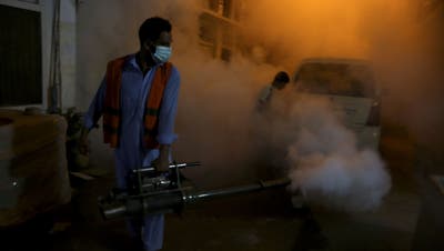 Pakistanisches Gesundheitspersonal räuchert Moskitos aus, um einen Ausbruch des Dengue-Fiebers in Peshawar, Pakistan, zu verhindern (Muhammad Sajjad / AP)