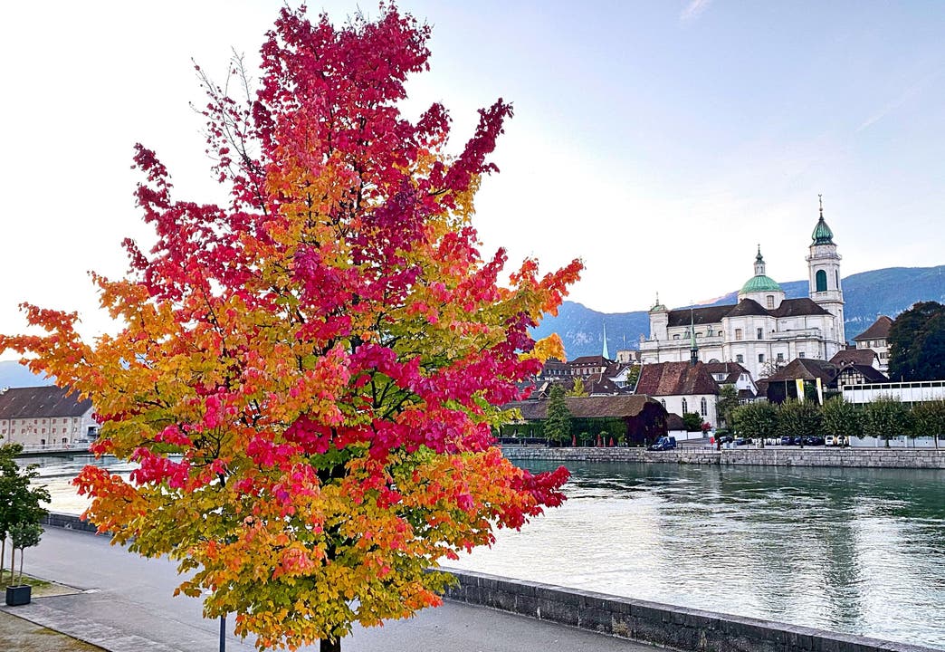 Herbstliches Solothurn