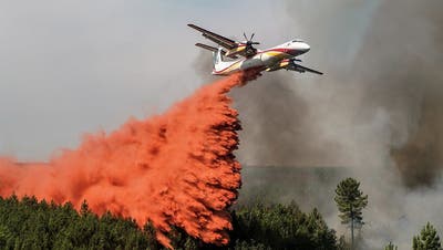 Um schneller und effektiver gegen die Waldbrände vorzugehen, sollen weitere Flugzeuge zur Verfügung gestellt werden. (KEYSTONE)