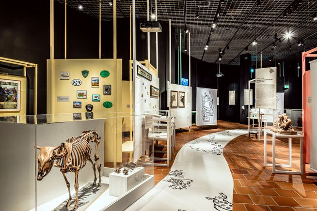 Die aktuelle Ausstellung im Museum Burg Zug stösst nach wie vor auf grosses Interesse.