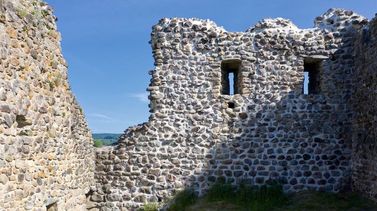 Die Ruine Helfenberg ist Thema eines Dokumentarfilms von Gregor Bächi. (Bild: Gregor Bächi)