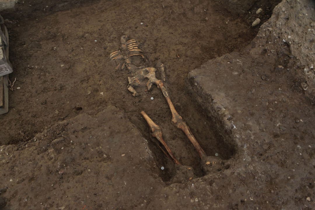 Sensationsfund in Windisch: Ein etwa 1600 Jahre altes Skelett kam bei Ausgrabungen zum Vorschein.