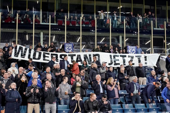 FCL-Fans protestieren beim Heimspiel gegen den FC Lugano gegen Mehrheitsaktionär Bernhard Alpstaeg.