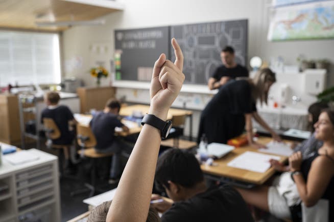Rund 500 der insgesamt 18'000 Lehrpersonen an den Zürcher Volksschulen arbeiten derzeit ohne Diplom. 