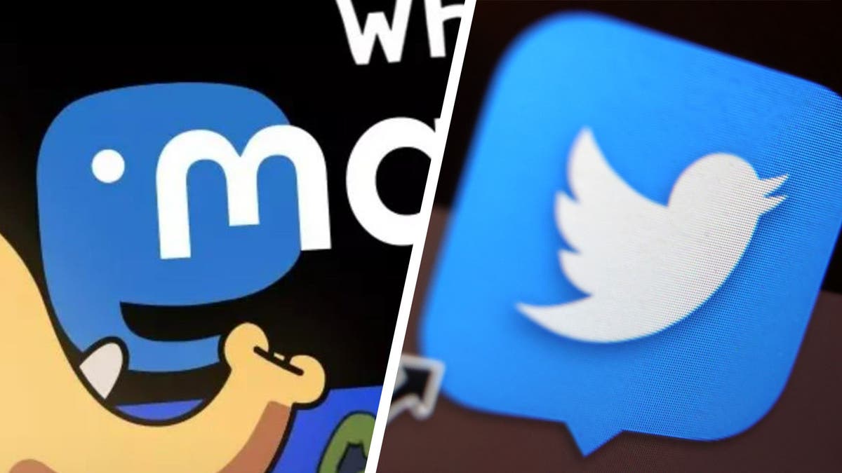 Twitter Alternative Mastodon Was Taugt Die Soziale Plattform Wir