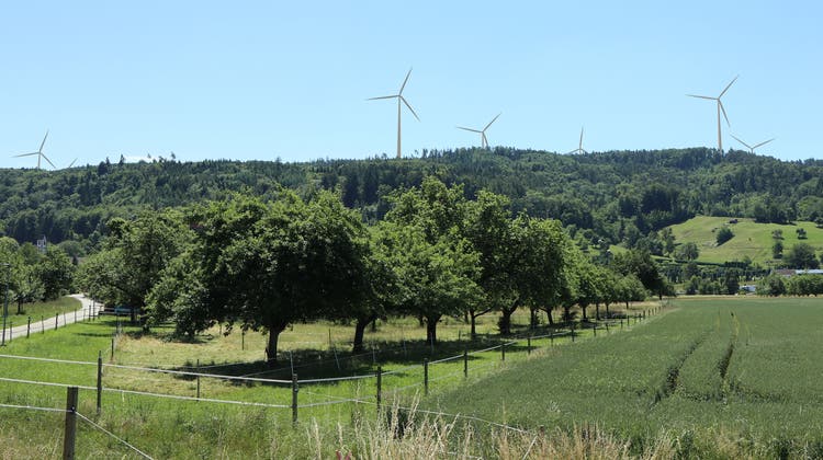 Bald überall Windräder? Der Kanton St.Gallen informiert zurzeit mit einer Informations- und Dialogreihe über seine Windkraft-Strategie. (Fotomontage: PD)