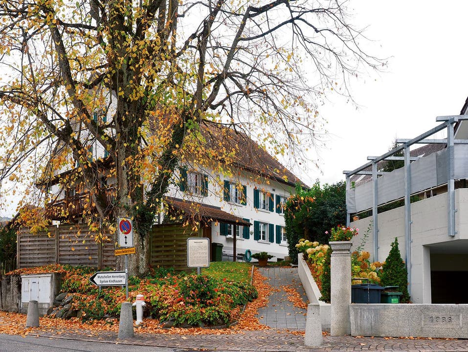 Heute prägt die Linde das Ortsbild von Baltenschwil. 