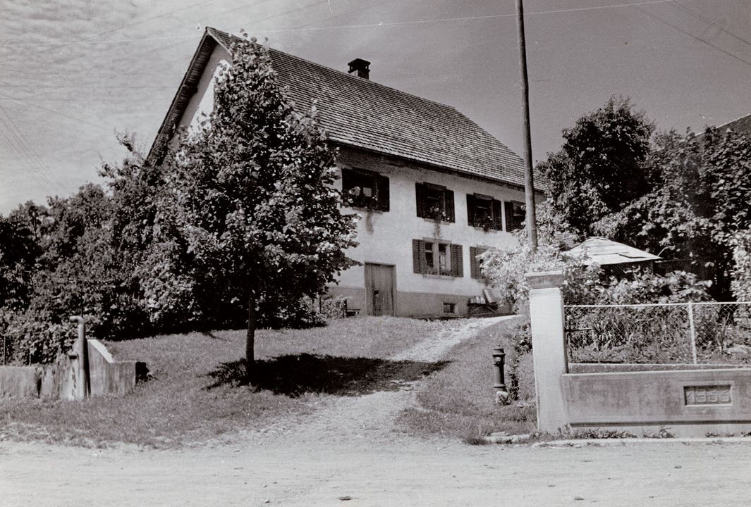 Die unter Schutz stehende Linde wurde in der Zwischenkriegszeit im Bergdietiker Gebiet Baltenschwil gepflanzt. Heute bestimmt sie als mächtiger Baum das Ortsbild im Kern von Baltenschwil.