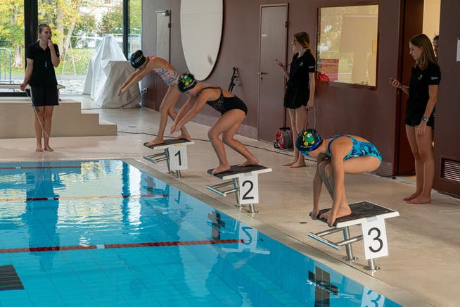 Im Hallenbad Fondli in Dietikon fand am 5. November 2022 der Schwimmwettkampf «Limmattaler Fisch» statt.