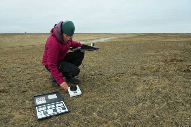 Forschung in den Weiten der russischen Tundra: Professorin Gabriela Schaepman-Strub bereitet eine Forschungsdrohne auf einen Flug vor.