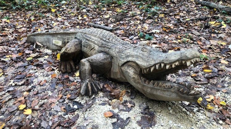 Das Krokodil ist eine der neuen Holzskulpturen. (zvg)