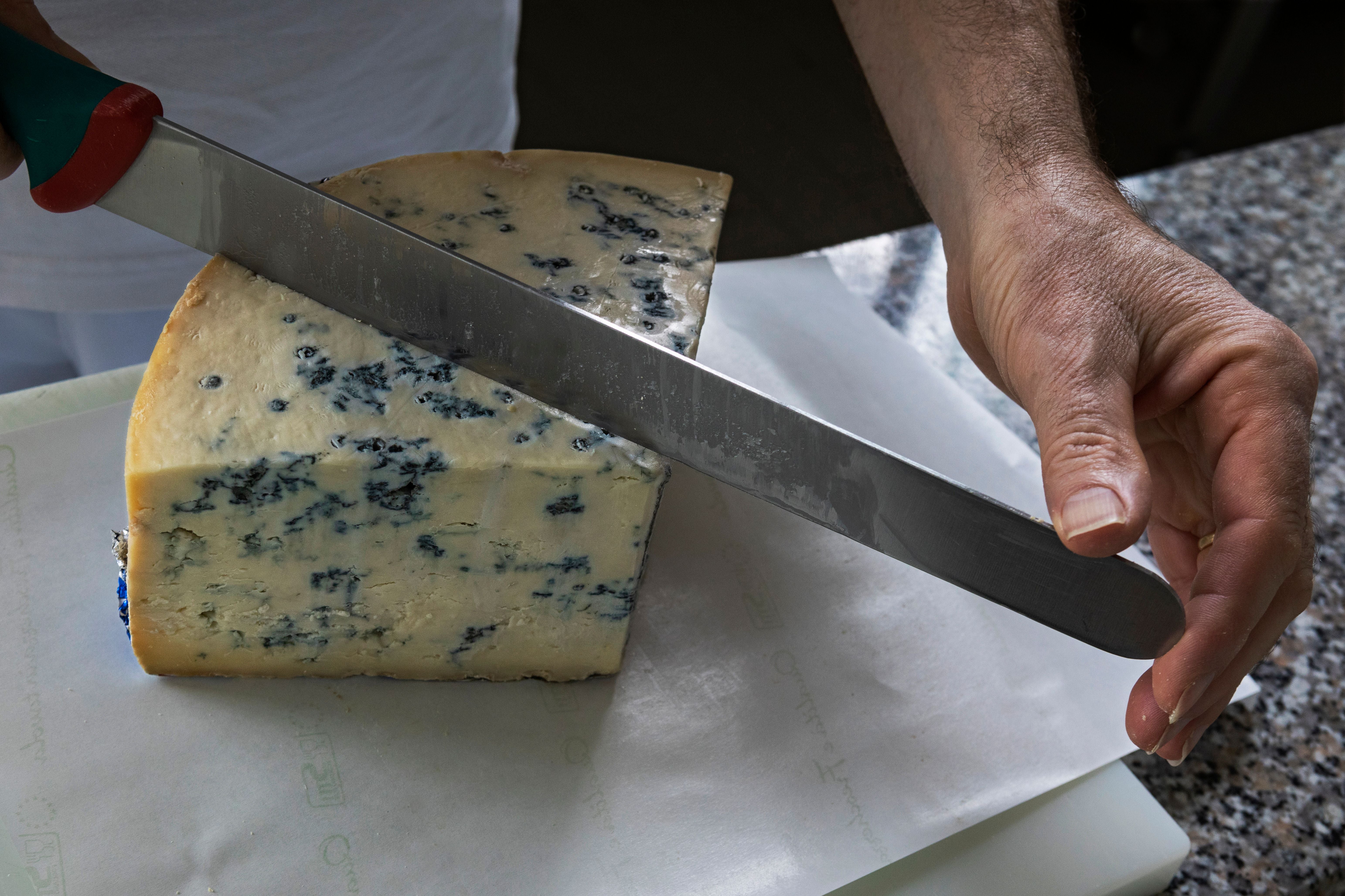 Geliebt und gehasst: Woher kommt der heikelste Käse der Welt?