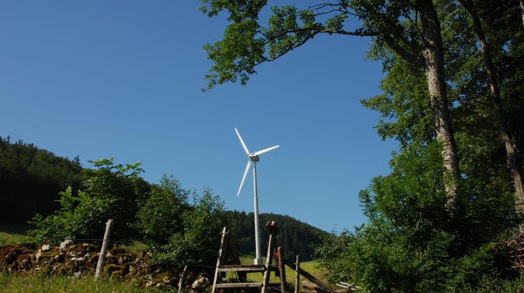 Ein häufiger Streitpunkt: Sind Windenergieanlagen verträglich oder unverträglich mit der Natur? (Bild: wak)