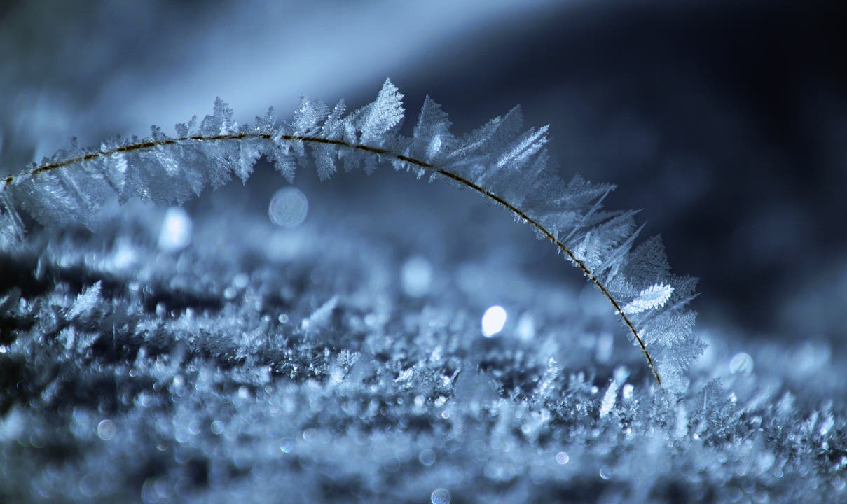 Wenn alles stimmt (Wind, Kälte, Höhe und Temperatur) entstehen derzeit herrliche Schneekristalle.
