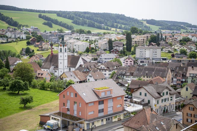 Blick auf den Stadtteil Beromünster